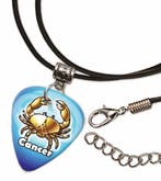 Kreeft plectrum ketting, sleutelhanger of oorbellen, Ophalen of Verzenden, Nieuw