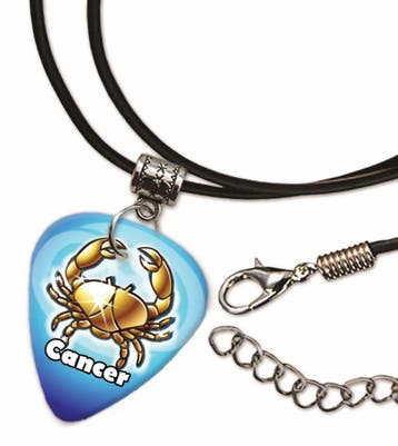 Kreeft plectrum ketting, sleutelhanger of oorbellen, Ophalen of Verzenden, Nieuw