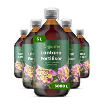 Lantana Vloeibare meststof - Set 5x1 liter, Verzenden, Mest