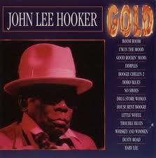 cd - John Lee Hooker - Gold, Verzenden, Zo goed als nieuw