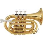 SML Paris TP50 Pocket Bb trompet incl. softcase, Muziek en Instrumenten, Verzenden, Nieuw