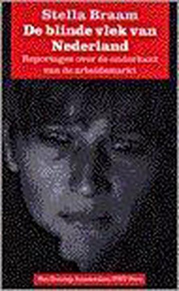Blinde vlek van Nederland - Suzanne Braam 9789055150403, Boeken, Verzenden, Gelezen, Suzanne Braam