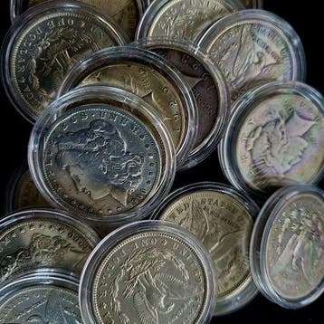 Morgan Dollar diverse jaren &amp; condities (prijs per stuk), Verzenden, Munten