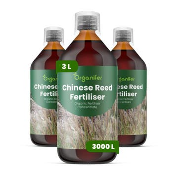 Chinees riet Vloeibare meststof - 3x1 liter, Verzenden, Mest