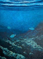 Felipe Costa - Living Depth, Antiek en Kunst