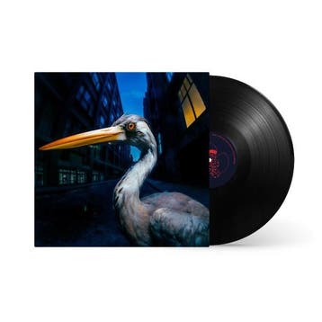 lp nieuw - antony szmierek - Decoding Birdsong (nieuw), Verzenden, Zo goed als nieuw, Overige formaten