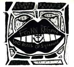 cd digi - Fionn Regan - 100 Acres Of Sycamore, Verzenden, Zo goed als nieuw