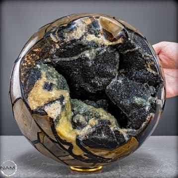 Monumentale septarische druse met goudgeel calcietkristallen
