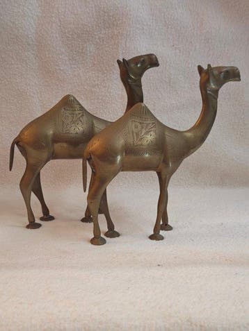 sculptuur, Coppia di cammelli in ottone inciso – Artigianato
