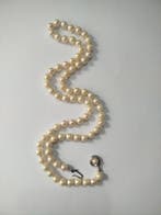 Zonder minimumprijs - Halsketting - 8 karaat Geel goud,, Sieraden, Tassen en Uiterlijk, Kettingen, Nieuw