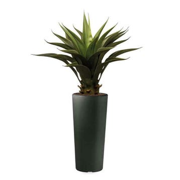 Zijden kunstplanten, diverse soorten & maten, met sierpotten, Ophalen of Verzenden, Overige soorten, In pot