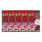 Bloemzaden cosmea | VT | 5 stuks, Verzenden