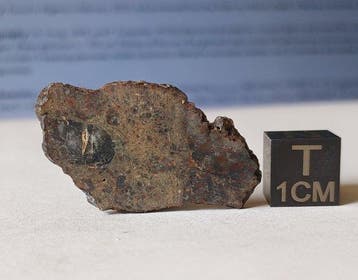 NWA 17700 - maanmeteoriet (troctoliet smeltbreccie) -, Verzamelen