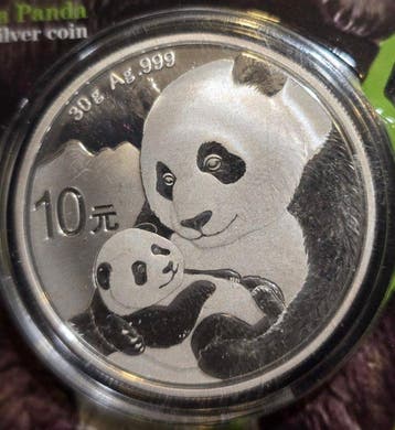 China. 10 Yuan 2019 Panda, 30g (.999) (Zonder minimumprijs)