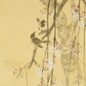 Two Sparrows Perched on Weeping Cherry Blossom Tree - with