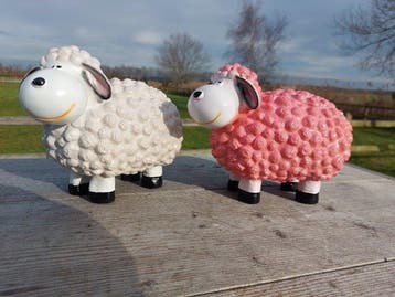 Beeld, set of 2 colorful lambs - 17 cm - polyresin