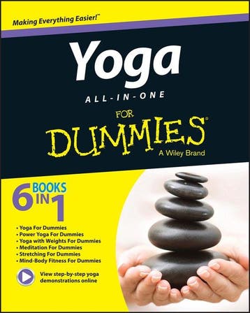 Yoga All-In-One For Dummies - Larry Payne 9781119022725, Verzenden, Gelezen, Larry Payne