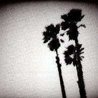cd - The Twilight Singers - Blackberry Belle, Cd's en Dvd's, Verzenden, Zo goed als nieuw