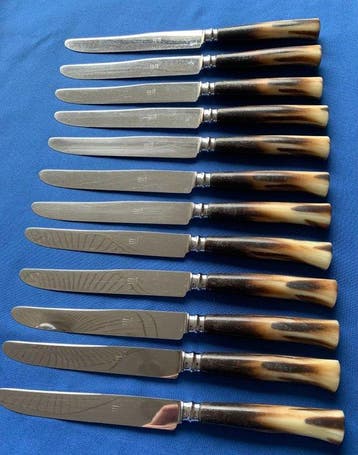 Bestekset voor 12 personen (12) - Staal, Hoorn - Mes met, Antiek en Kunst