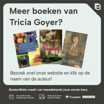Bij het licht van de zilveren maan - Tricia Goyer, Boeken, Romans, Verzenden, Gelezen, Tricia Goyer
