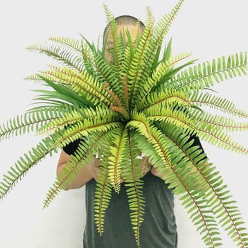 Grote Kunstvaren Hangplant - Nep Palmboom met Vallende Blade, Huis en Inrichting, Kamerplanten, Verzenden