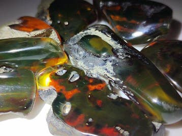 Mexicaanse amber Chiapas!! AAA- 80 g
