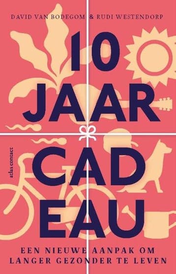 10 jaar cadeau | 9789045040127 | David van Bodegom ; Rudi, Zo goed als nieuw, David van Bodegom ; Rudi Westendorp