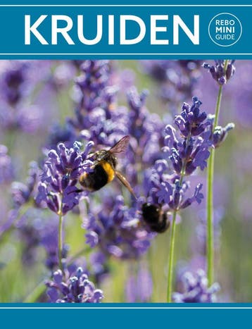 Kruiden - Rebo mini guide (Goed), Verzenden, Nieuw, Hanneke van Dijk