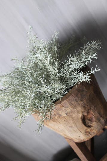 Namaak Asparagus bush grey wash 33 cm, Ophalen of Verzenden, Nieuw