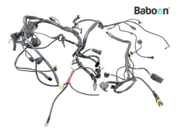 Kabelboom Ducati Monster 695 2006-2008 (M695), Motoren, Onderdelen | Ducati, Verzenden, Gebruikt