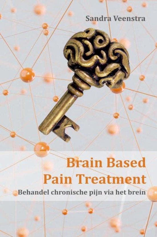 9789403760230 Brain Based Pain Treatment, Boeken, Schoolboeken, Nieuw, Verzenden