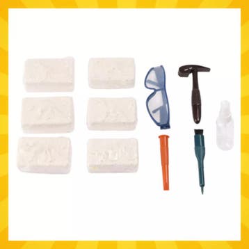 Kruzzel dinosaurus opgraafset 6-in-1 – educatief fossiele., Ophalen of Verzenden, Nieuw