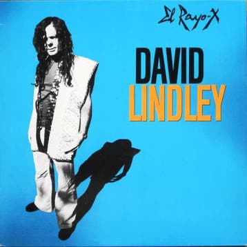 David Lindley - El Rayo-X, Ophalen of Verzenden, Gebruikt