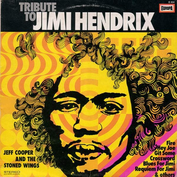 Jeff Cooper And The Stoned Wings - Tribute To Jimi Hendrix, Cd's en Dvd's, Vinyl | Pop, Gebruikt, Ophalen of Verzenden