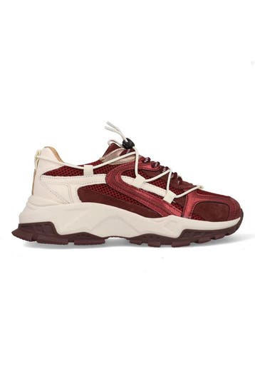 DWRS Isola B11443-05-4577 Bordeaux Rood / Wit-42, Verzenden, Nieuw, Rood