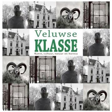 Veluwse Klasse | 9789491826580 | Willem Beemers ; Anne Van, Ophalen of Verzenden, Zo goed als nieuw, Willem Beemers ; Anne Van der Meiden