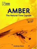 Amber: The Natural Time Capsule 9780565092580 Andrew Ross, Boeken, Verzenden, Gelezen, Andrew Ross