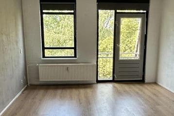 Studio Adriaen van der Doeslaan in Rotterdam, 20 tot 35 m², Rotterdam