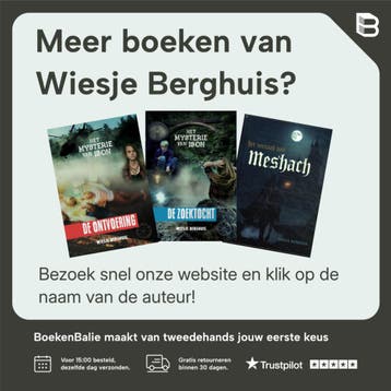 De steendragers / Het mysterie van ISON / 3 9789492959010, Verzenden, Zo goed als nieuw, Wiesje Berghuis