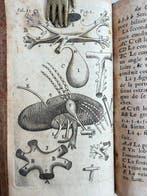 Louys Barles - Les nouvelles decouvertes sur toutes les