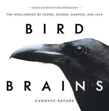 Bird Brains, Ophalen of Verzenden, Nieuw