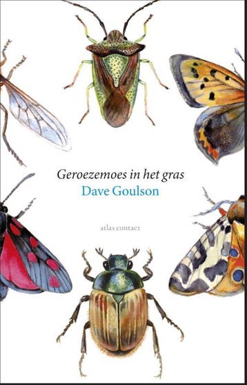 Geroezemoes in het gras - Dave Goulson 9789045028415, Boeken, Verzenden, Zo goed als nieuw, Dave Goulson