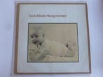 Ton Ebbink - Hongerwinter (mmv The Lau) LP, Ophalen of Verzenden, Zo goed als nieuw