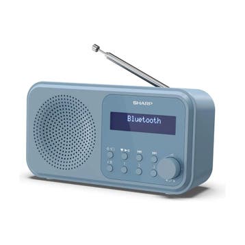 SHARP DR-P420(BL) Tokyo DAB+ radio, Bluetooth 5.3, staalb..., Verzenden, Nieuw