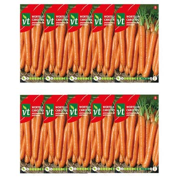 Wortelzaad | VT | 10 stuks (Amsterdamse bak), Verzenden