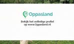 Mala zoekt een oppas in Zwolle voor 2 kinderen op zaterdag.