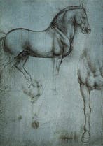 Leonardo Da Vinci - “Studio di cavalli, 1490”.