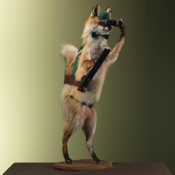 Vos Jager Taxidermie Opgezette Dieren By Max, Ophalen of Verzenden, Nieuw, Wild dier, Opgezet dier