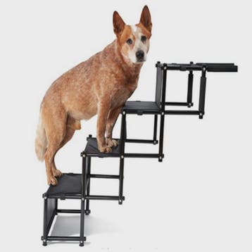 Opvouwbare Hondentrap tot 75 kg - Ideaal voor Auto & Bed - G, Verzenden, Nieuw