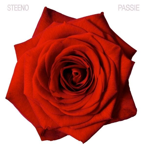 Luc Steeno - Passie - CD, Cd's en Dvd's, Cd's | Overige Cd's, Ophalen of Verzenden